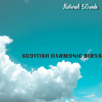 Natural 50unds, Mr Chillax / - Scottish Harmonic Birds