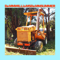 Damn Williams / - Damn Summer