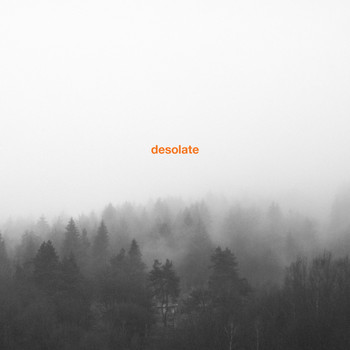 Desolate - Exceptionalism