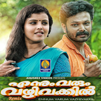 Sajeesh Nisari - Ennum Varum Vazhivakkil (Remix) - Single