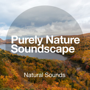 Natural Sounds - Purely Nature Soundscape