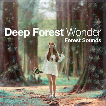 Forest Sounds - Deep Forest Wonder