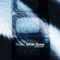 Grass Seed - Prolific White Noise