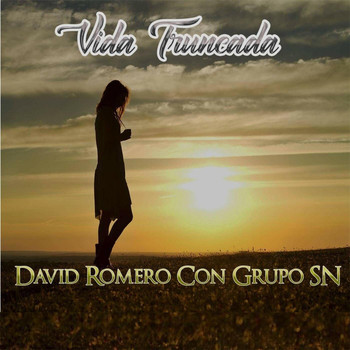 David Romero - Vida Truncada (feat. Grupo SN)
