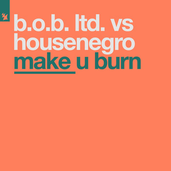 B.O.B. Ltd. vs Housenegro - Make U Burn