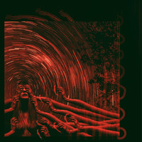 Dan - Gold