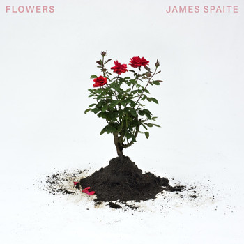 James Spaite - Flowers (Explicit)