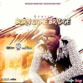 Ozarii - Burn Some Bridge