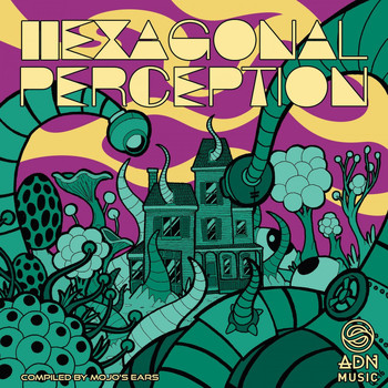 Various Artists - Hexagonal Perception
