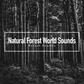 Forest Sounds - Natural Forest World Sounds