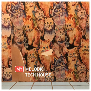 Various Artists - My Melodic Tech House