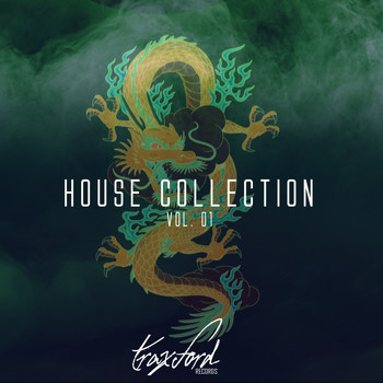Various Artists - HOUSE COLLECTION, VOL. 01