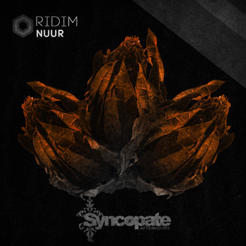 Nüur - Ridim