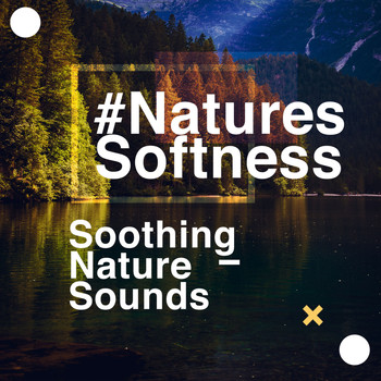 Soothing Nature Sounds - #NaturesSoftness