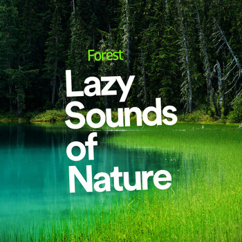 Forest - Lazy Sounds of Nature