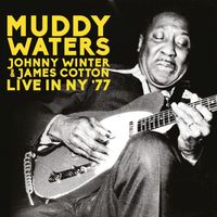 Muddy Waters, Johnny Winter & James Cotton - Live In NY '77