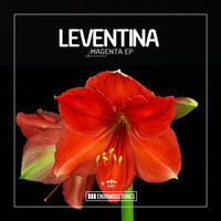 Leventina - Magenta EP