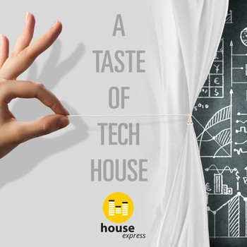 Various Artists - A Taste of Tech House