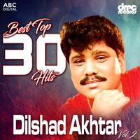 Dilshad Akhtar - Best Top 30 Hits Vol. 2 - Dilshad Akhtar