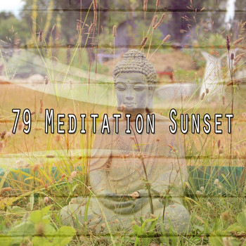 Forest Sounds - 79 Meditation Sunset