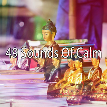 Classical Study Music - 49 Sounds of Calm