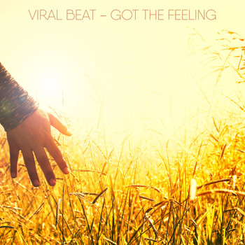 Viral Beat / - Got The Feeling