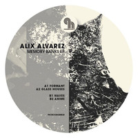 Alix Alvarez - Memory Banks