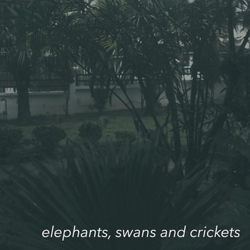 fzpz / - Elephants, Swans and Crickets