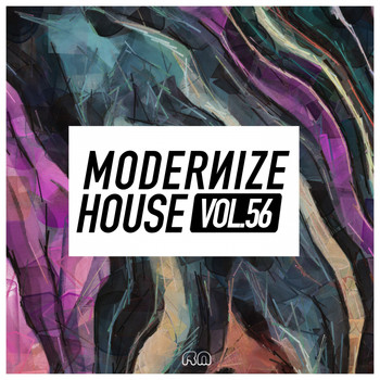 Various Artists - Modernize House, Vol. 56