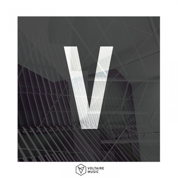 Various Artists - Voltaire Music Pres. V
