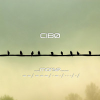 CibØ - Morse