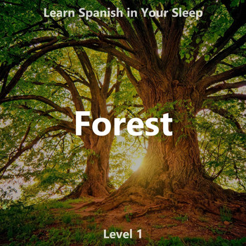 The Earbookers - Learn Spanish in Your Sleep: Forest (Level 1)