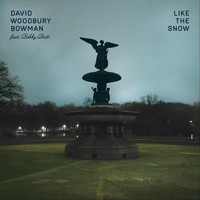 David Woodbury Bowman - Like the Snow (feat. Bobby Britt & Mike Clark Jr.)