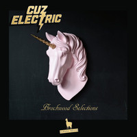 Cuz Electric - Brockwood Selections