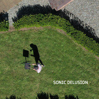 Sonic Delusion - Anything Goes