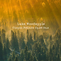 Luke Woodapple - Chopin: Prelude, Op. 28: No. 4 in E Minor, Largo