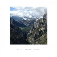 Mind Groove - Nature Ambient Sounds for Meditation