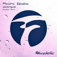 Maximo Gladius - Watergate (Kralbies Remix)