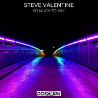 Steve Valentine - So Much to Say