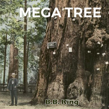 B.B. King - Mega Tree