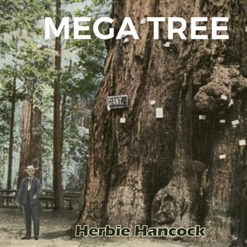 Herbie Hancock - Mega Tree