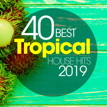 Various Artists - 40 Best Tropical House Hits 2019