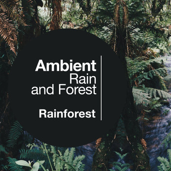 Rainforest - Ambient Rain and Forest