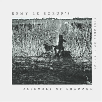 Remy Le Boeuf - Assembly of Shadows
