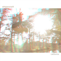 Whippoorwill - California