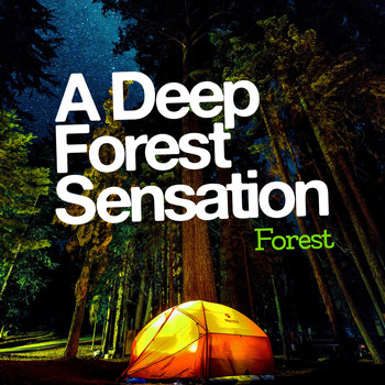 Forest - A Deep Forest Sensation