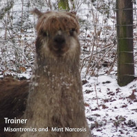 Misantronics / Mint Narcosis - Trainer