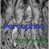 John Kerslake - Perception