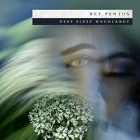 Rey Pentos - Deep Sleep Woodlands