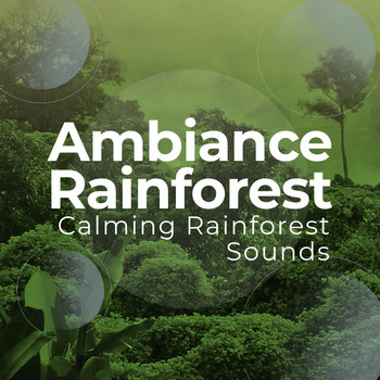 Calming Rainforest Sounds - Ambiance Rainforest